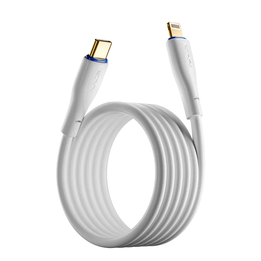 R-2010 - Type C to Iphone