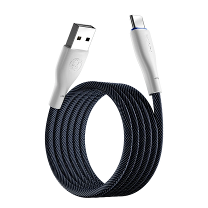 R-2025 Type-C Cable