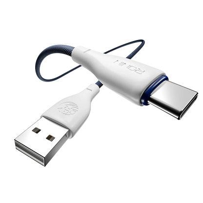 R-2025 Type-C Cable