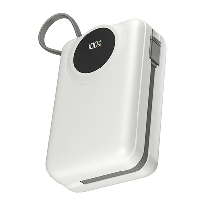 Megawatt | R-4055 30000 mAh Power Bank